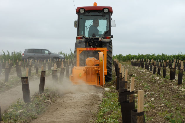 Vineyard Mini stone crushers BP-BPE