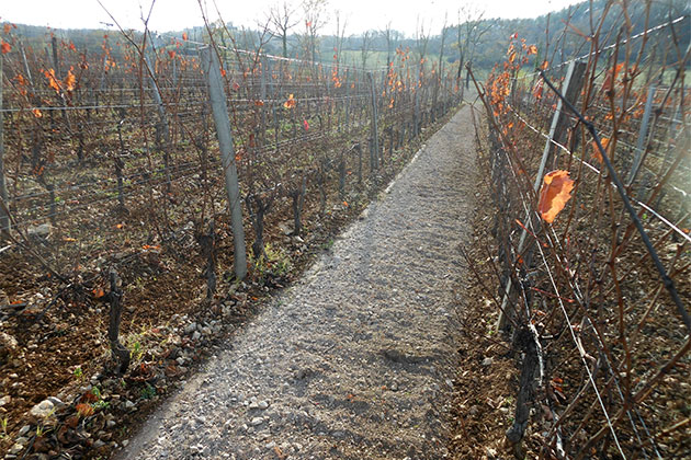 After passing through the vineyards of the Kirpy BPL stone crusher