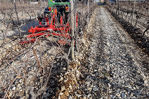 Cultivadores de cepas Grenier Franco