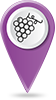Picto Vigne